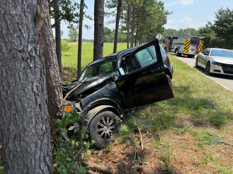 Read more about the article Serious Injury by Vehicle in Georgia: Your Legal Options Explained